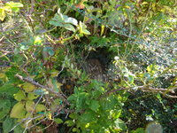 DSC02728.JPG