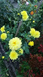 20221008_182920.webp