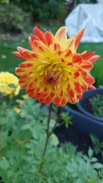 20221008_182802.webp