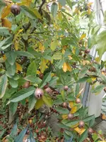 IMG_20221108_132326.webp