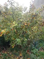 IMG_20221108_132225.webp
