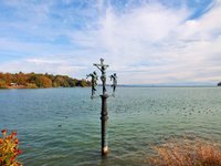DSCF3152 (2).JPG
