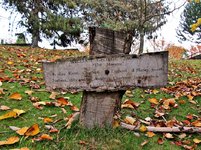IMG_0547.JPG