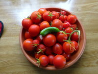DSC02730.JPG