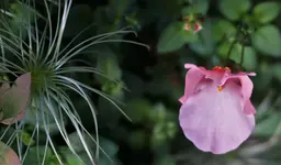 2022blmn63.webp