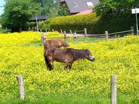 IMG_20220522_123643_3.jpg