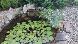 2022-05-30 Gartenfotos_5.jpg