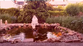 20190625_203530.webp