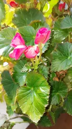 20221115_102352.webp