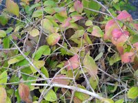 IMG_20221116_143832.jpg