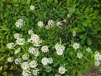 IMG_20221116_143450.webp