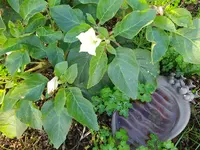 IMG_20221116_143412.webp