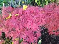 IMG_20221116_143042.webp
