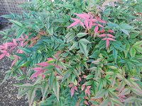 IMG_20221116_143021.jpg