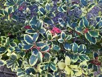 IMG_20221116_143053.webp