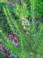 IMG_20221116_143724.jpg