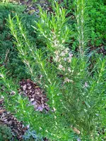 IMG_20221116_143724.webp