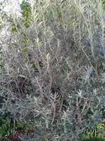 IMG_20221116_143713.webp
