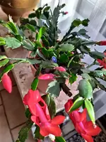 IMG_20221116_144651.webp
