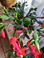 IMG_20221116_144651.jpg