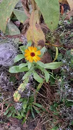 20221116_144211.jpg