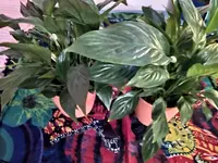 IMG_20221116_164428.webp