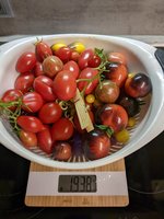 PXL_20221117_175102668.jpg