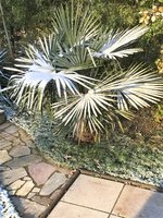 IMG_0433.JPG