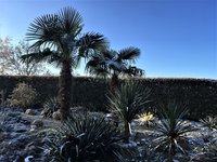 IMG_0434.JPG