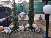 IMG_20221119_085824.jpg