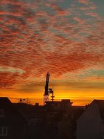 IMG_20221112_163921.jpg