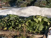 HPIM4358[1].webp