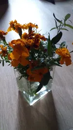 20221121_112912.webp