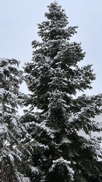 360F68E7-46DC-434D-B90A-F2FC05D9BD24.jpeg