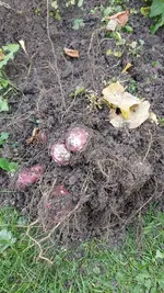 20221119_132041.webp
