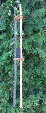 Säulen-Apfel Ballerina 'Bolero' _Bindung Kokosstrick_03.jpg