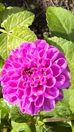 DC8B09C6-F8D5-4876-AE2A-6030D9B2F929.jpeg