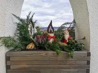 IMG_20221124_121507.webp
