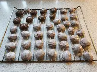 IMG_20221123_095957.webp