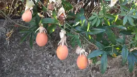 IMG_20220804_185501.webp