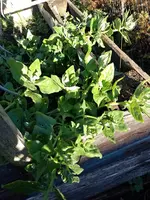 IMG_20221123_143907.webp