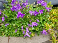 20221125_105725.webp