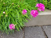 20221125_105716.webp