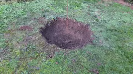 2022-11-25 Loch für Pfirsich-02.webp