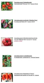 2022-11-25 Tomatensamen Ebay.webp