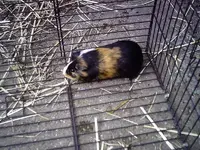 CIM 12.webp