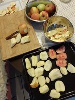IMG_20221126_132123.jpg