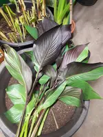 20221127_192148.webp