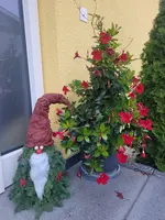 20221128_081829.webp