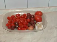 HPIM4364[1].webp